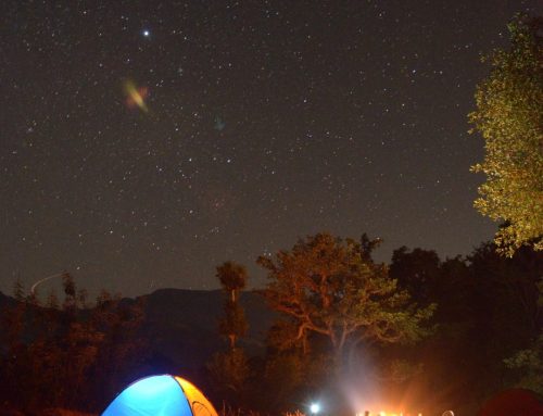 Camping in Zion Utah: Unveiling Nature’s Majesty