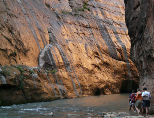 5 Family Friendly Activities Near Zion National Park