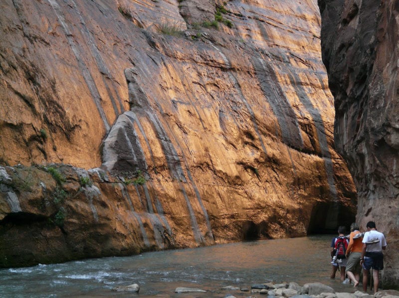5 Family Friendly Activities Near Zion National Park