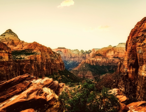 How was Zion National Park Formed?