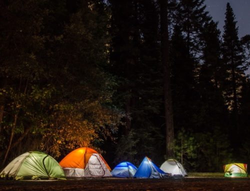 How to be a More Eco-Friendly Camper
