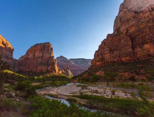 Make Zion National Park Your Next Destination