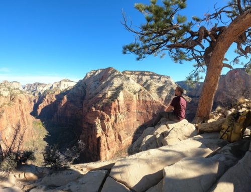 Top 5 Hikes in Zion National Park