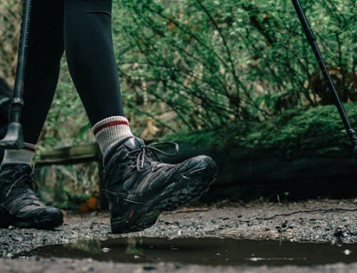 4 Reasons to Stay On the Trail