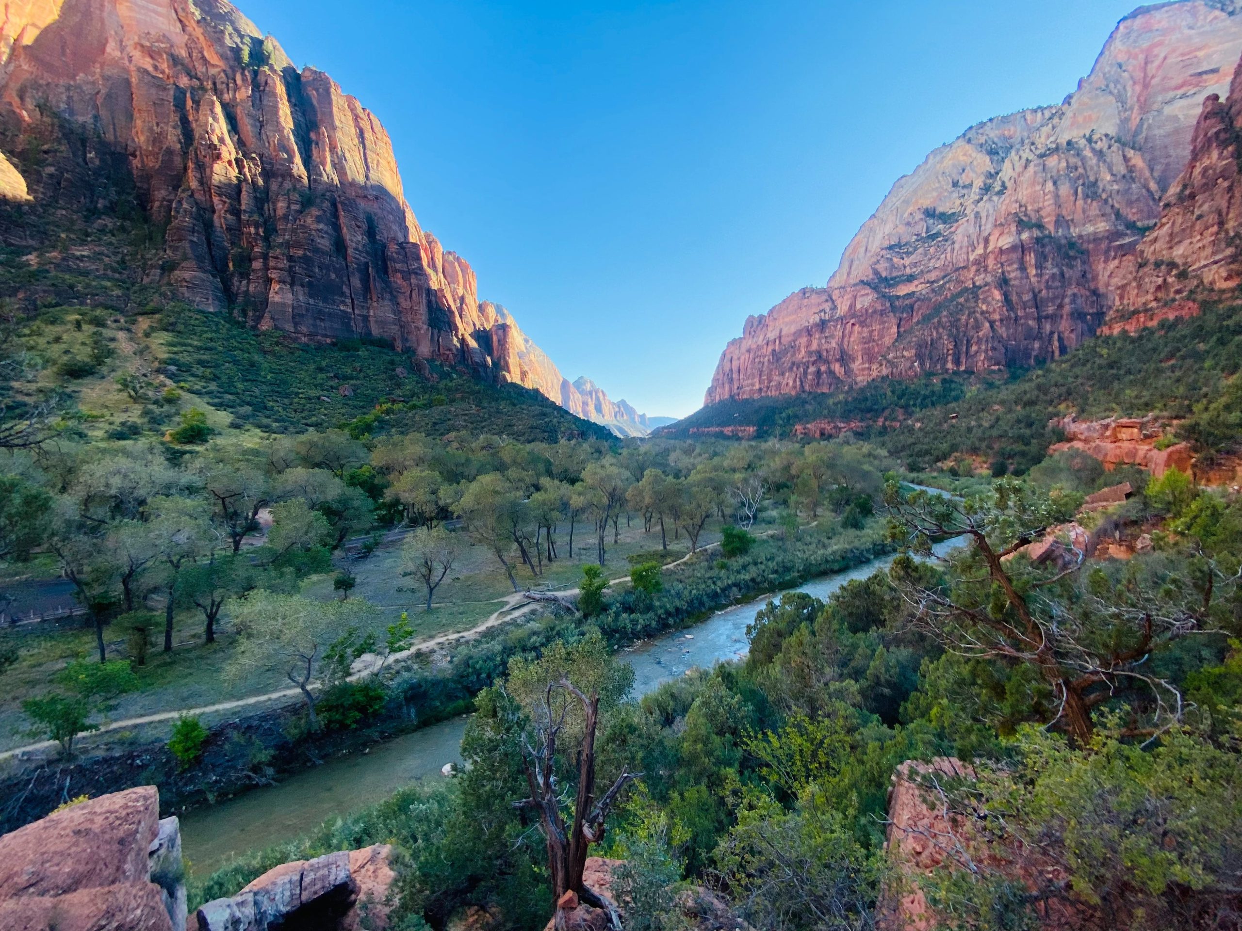 Luxury Hotels Near Zion National Park: Your Gateway to Unparalleled Comfort and Adventure